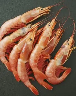 Shrimps and Prawns