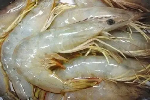 White Prawns